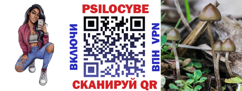 Псилоцибиновые грибы MAGIC MUSHROOMS  даркнет сайт  Дальнереченск 